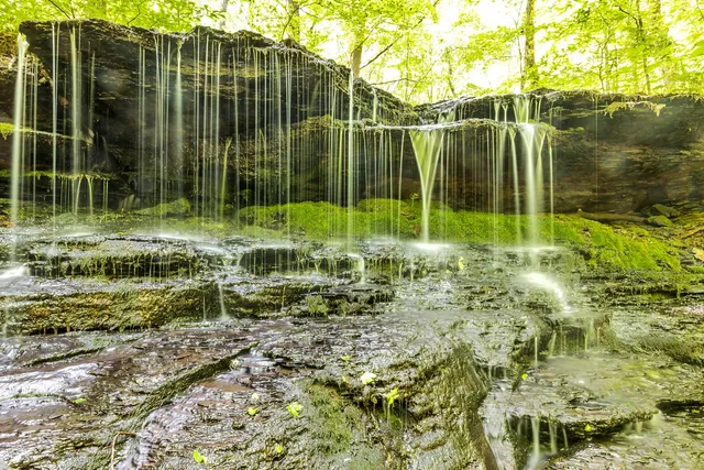 $14,450,000 | 5185 Old Harding Road, Fairview, TN 37062