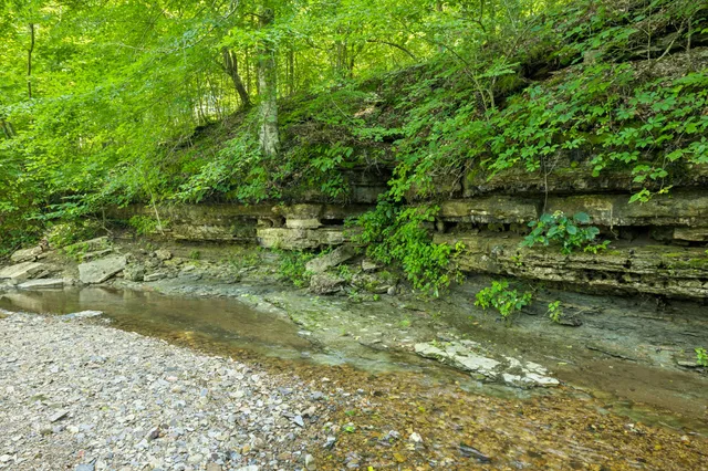 $14,450,000 | 5185 Old Harding Road, Fairview, TN 37062