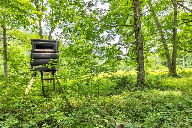 $14,450,000 | 5185 Old Harding Road, Fairview, TN 37062