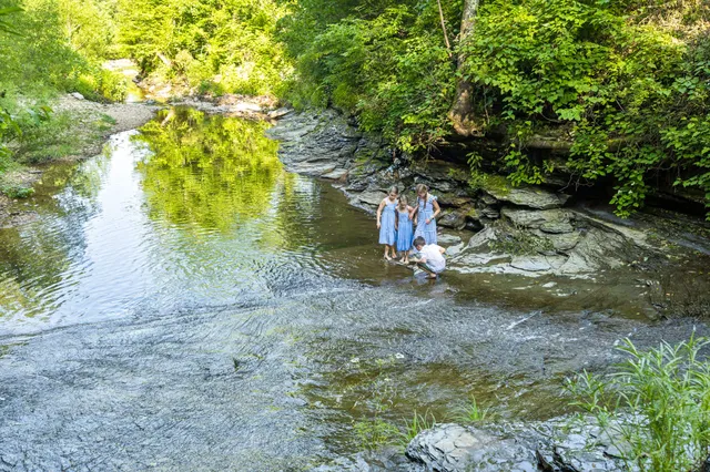 $14,450,000 | 5185 Old Harding Road, Fairview, TN 37062