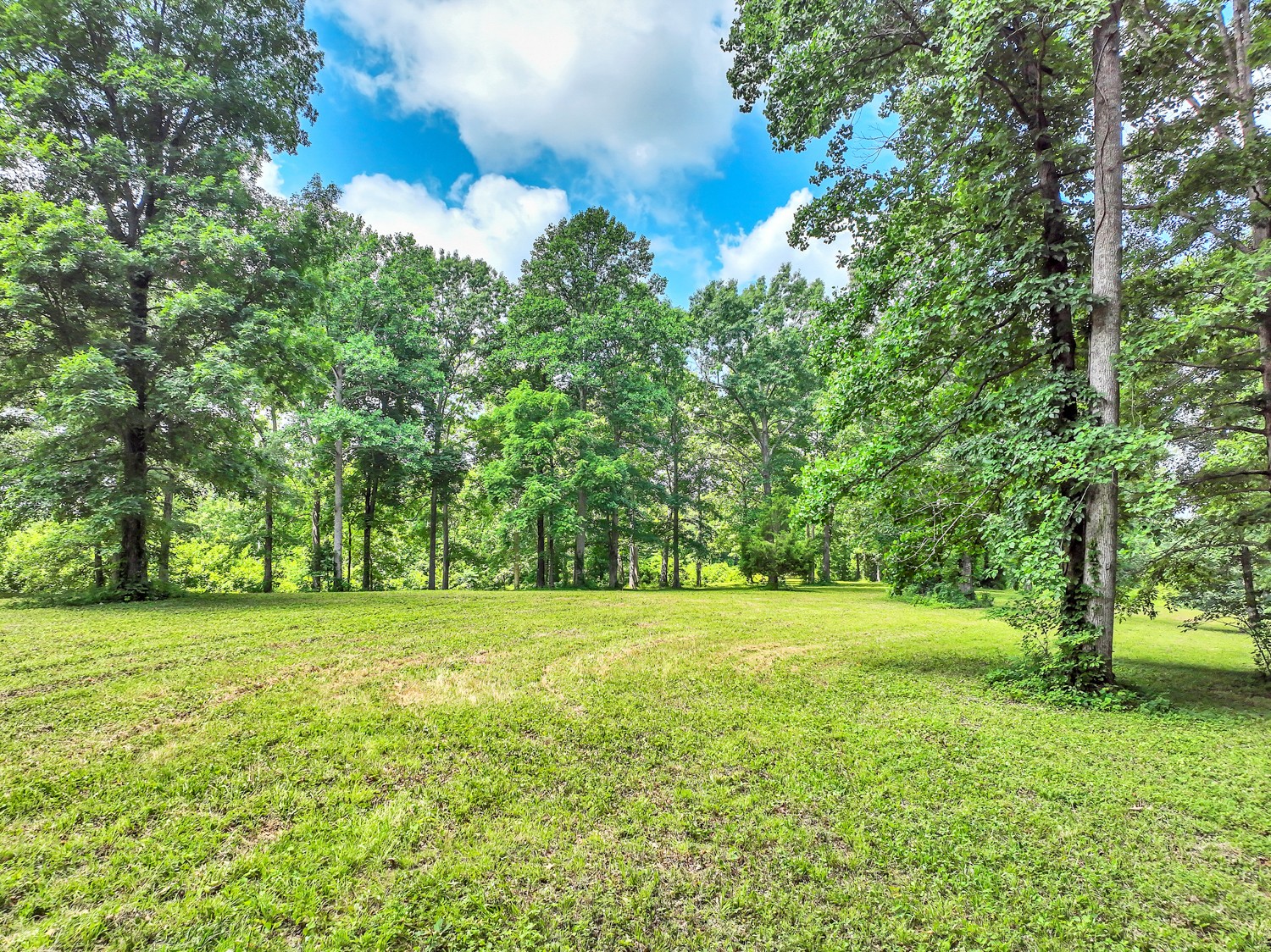 5185 Old Harding Road Fairview, TN 37062 - Photo 7 of 38 a view of a trees in a yard