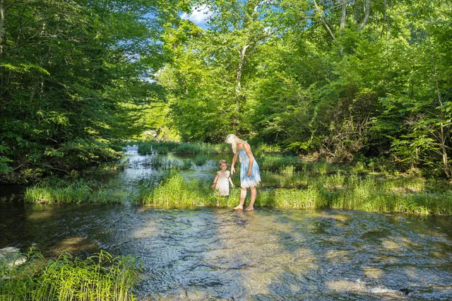 $14,450,000 | 5185 Old Harding Road, Fairview, TN 37062