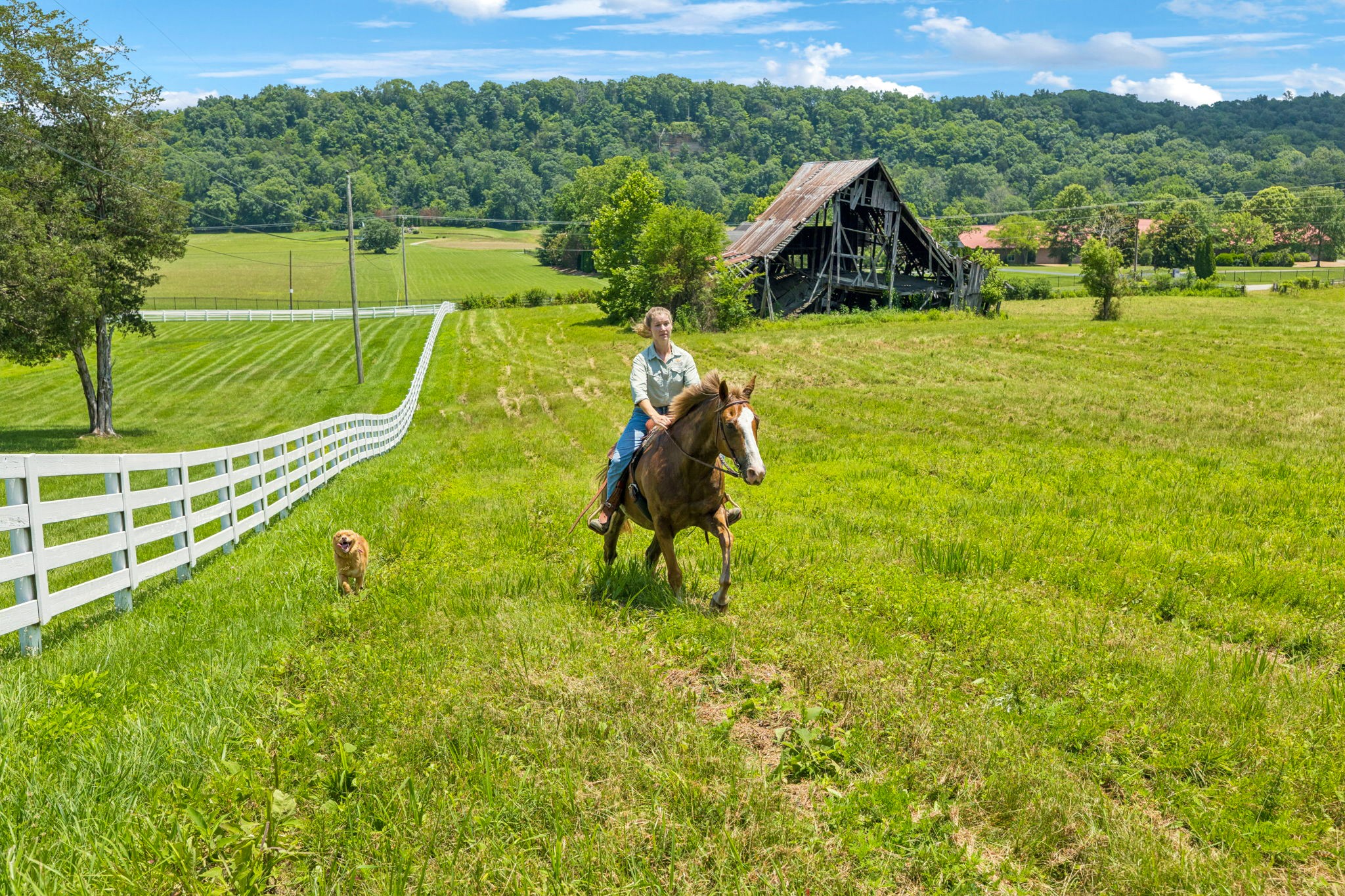 5185 Old Harding Road Fairview, TN 37062 - Photo 8 of 38