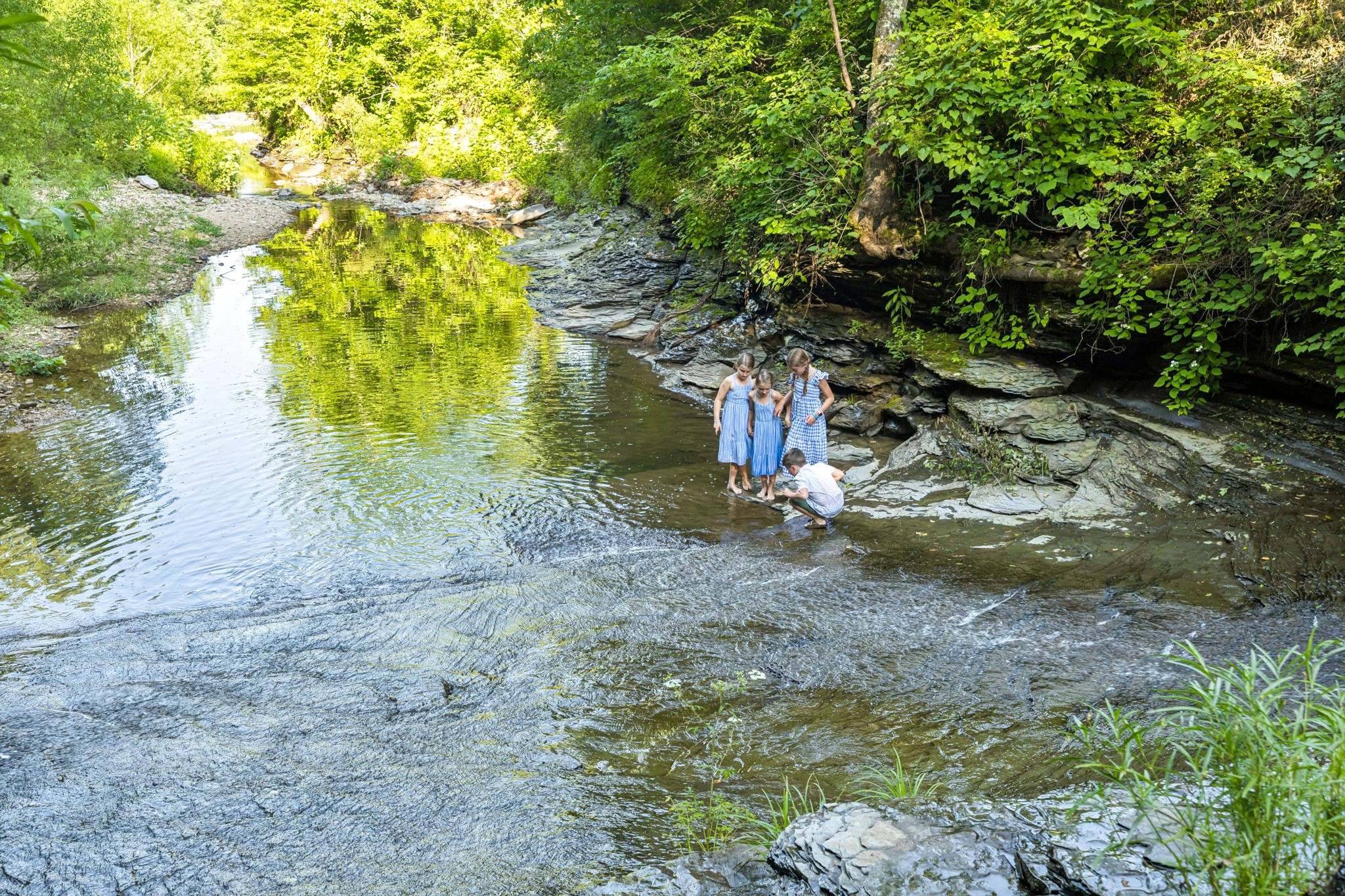 5185 Old Harding Road Fairview, TN 37062 - Photo 9 of 38