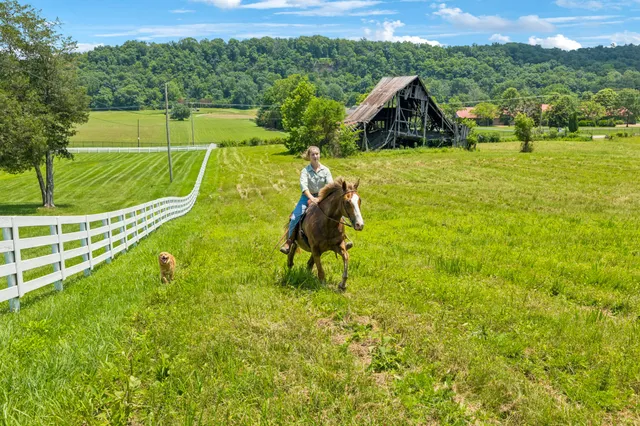 $14,450,000 | 5185 Old Harding Road, Fairview, TN 37062