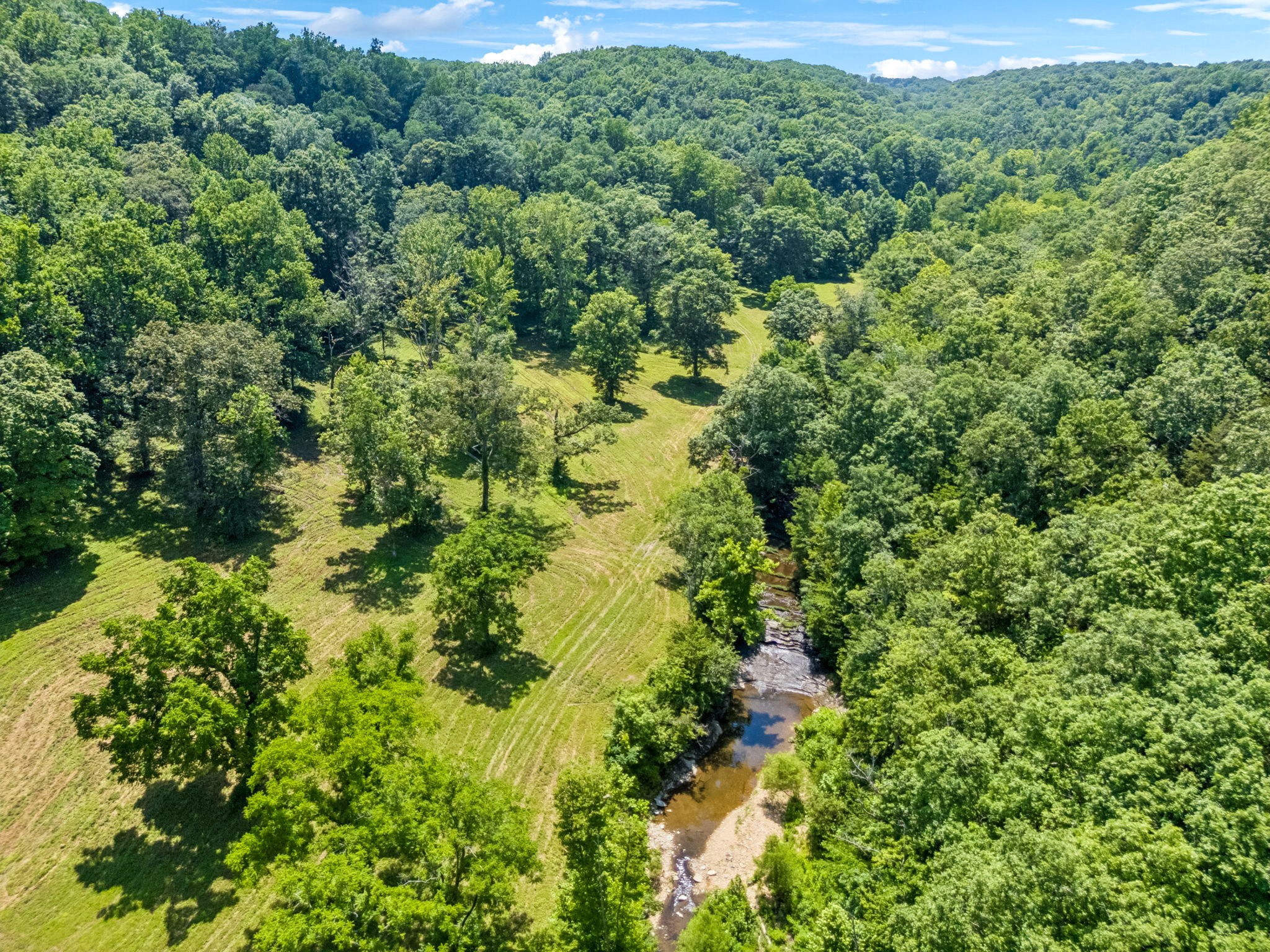 5185 Old Harding Road Fairview, TN 37062 - Photo 10 of 38 a view of a forest with a street