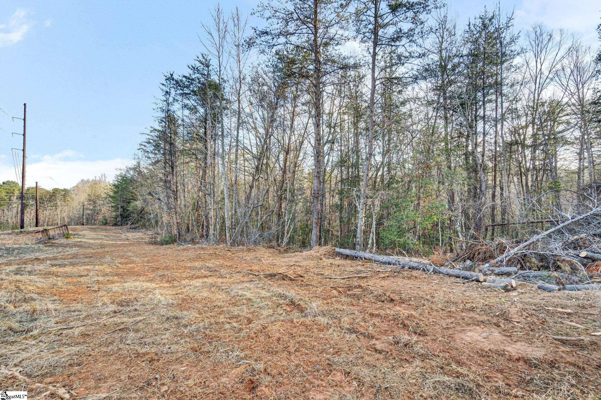 0 Cribbs Way Easley, SC 29640 - Photo 2 of 19