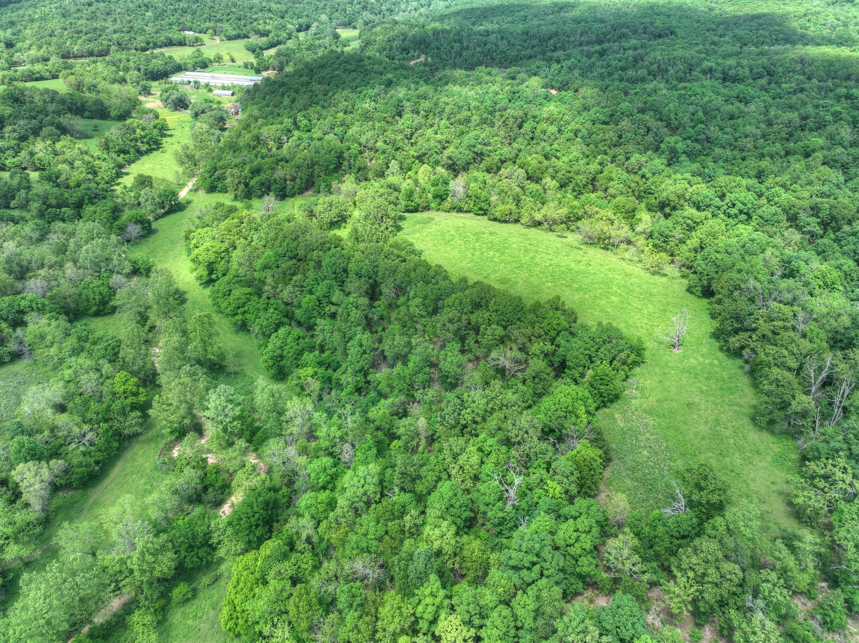 1648 Pack Road Noel, MO 64854 - Photo 17 of 33 026