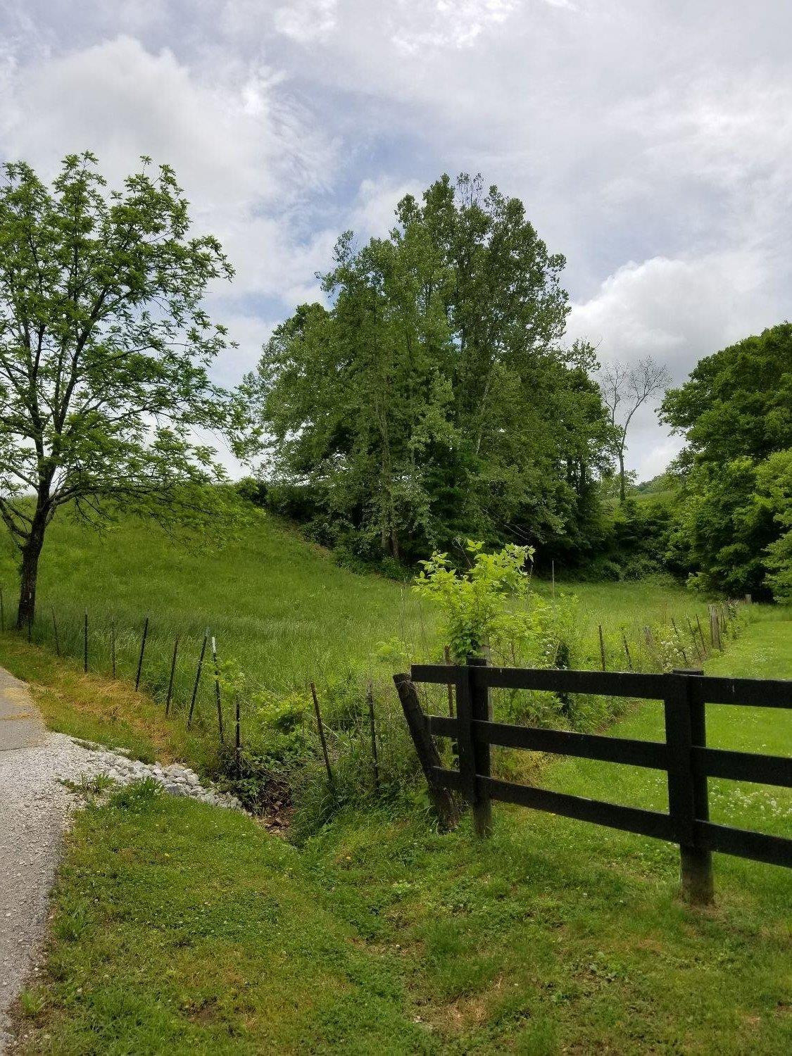 809 Mill Branch School Road Beattyville, KY 41311 - Photo 73 of 97 Photo 75