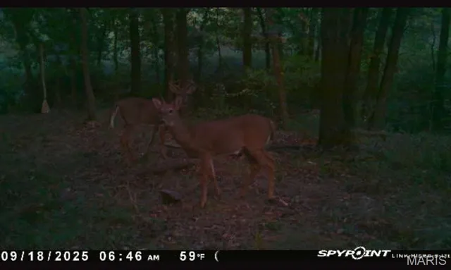 $109,000 | 0 Griffin Place, Elmer, MO 63538