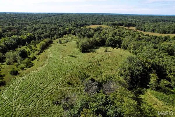 $105,000 | 0 Griffin Place, Elmer, MO 63538