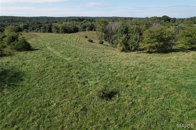 $109,000 | 0 Griffin Place, Elmer, MO 63538