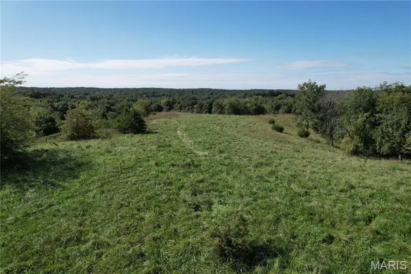 $105,000 | 0 Griffin Place, Elmer, MO 63538