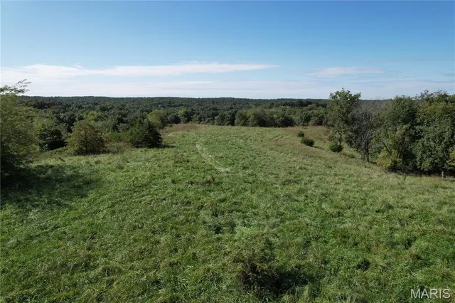 $109,000 | 0 Griffin Place, Elmer, MO 63538