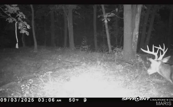 $105,000 | 0 Griffin Place, Elmer, MO 63538