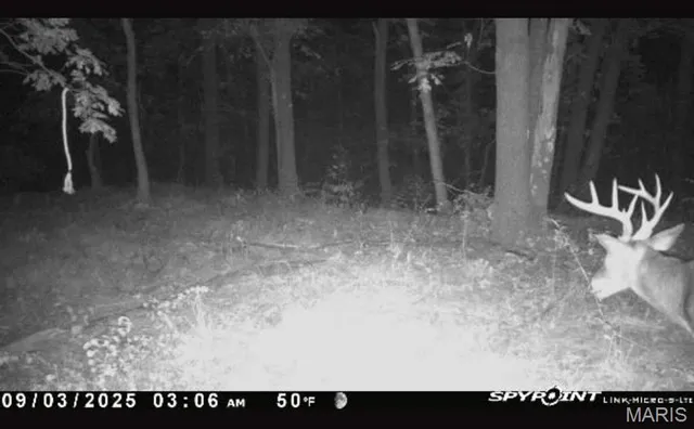 $109,000 | 0 Griffin Place, Elmer, MO 63538