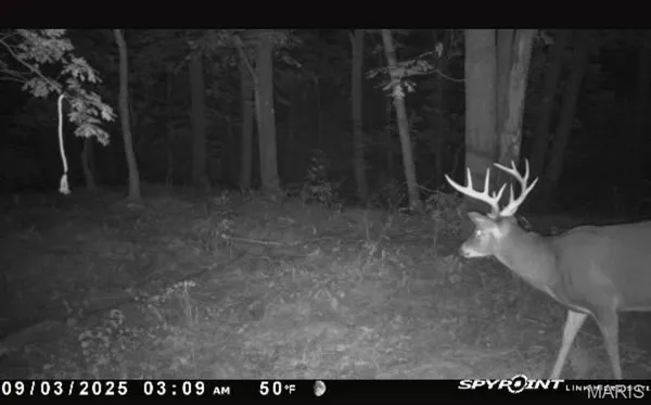 $105,000 | 0 Griffin Place, Elmer, MO 63538