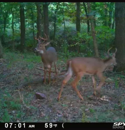 $105,000 | 0 Griffin Place, Elmer, MO 63538