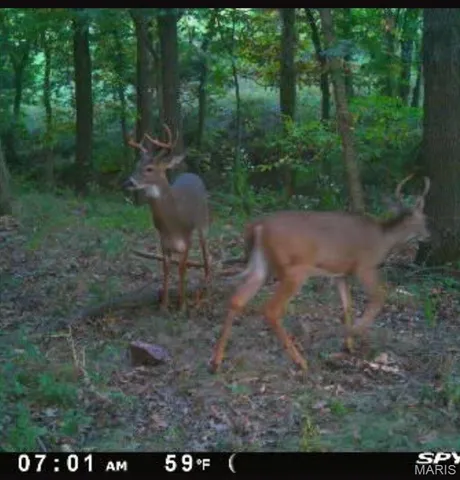 $109,000 | 0 Griffin Place, Elmer, MO 63538