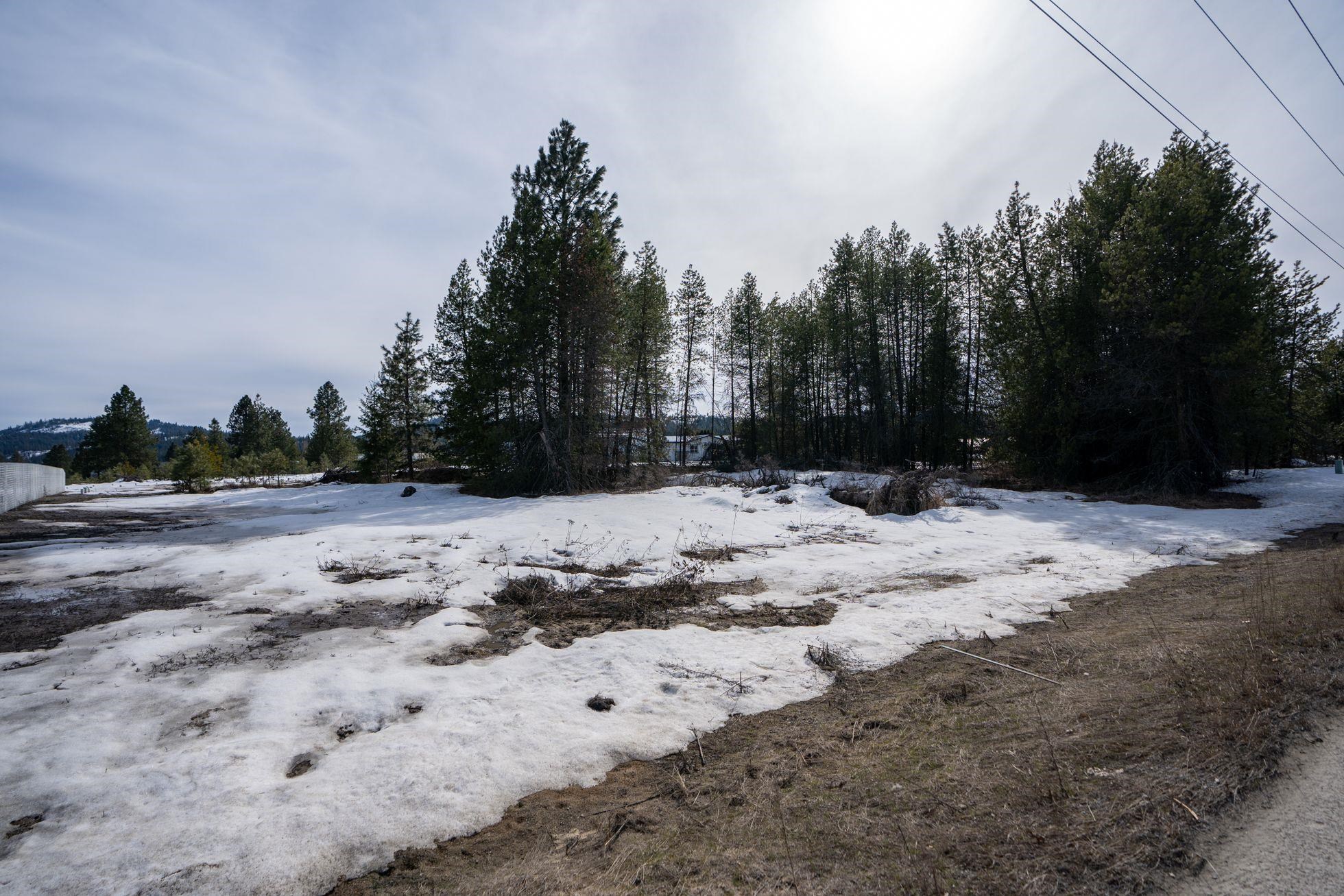 705 Pondoray Shores Road Newport, WA 99156 - Photo 10 of 10