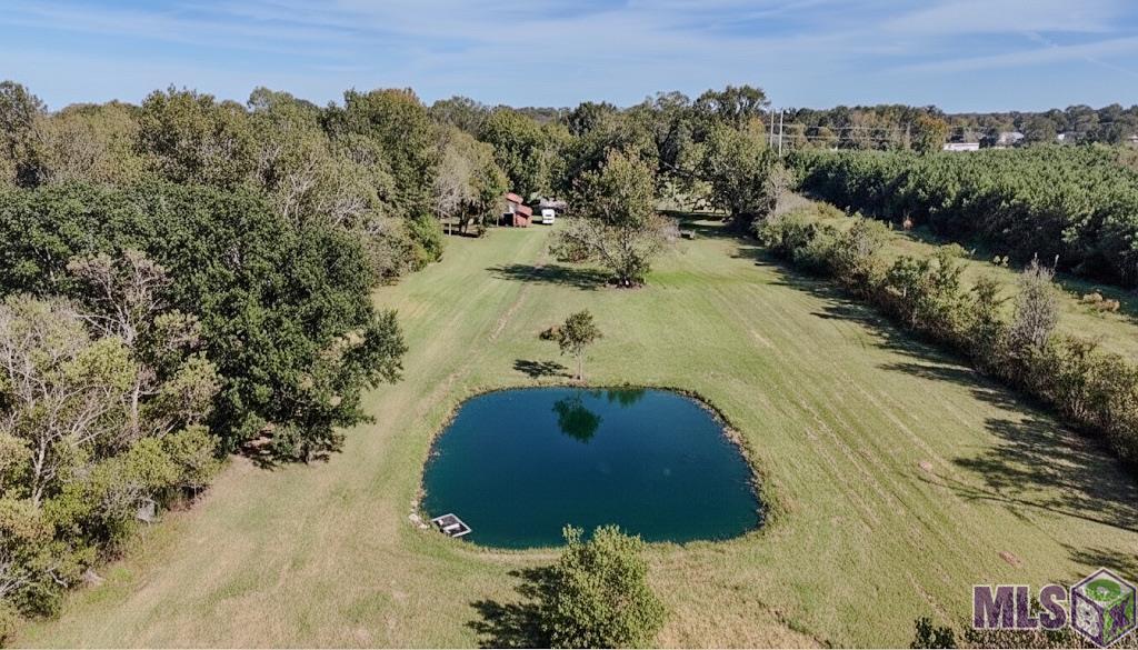 21321 Samuels Road Zachary, LA 70791 - Photo 15 of 48 Pond at Rear Yard