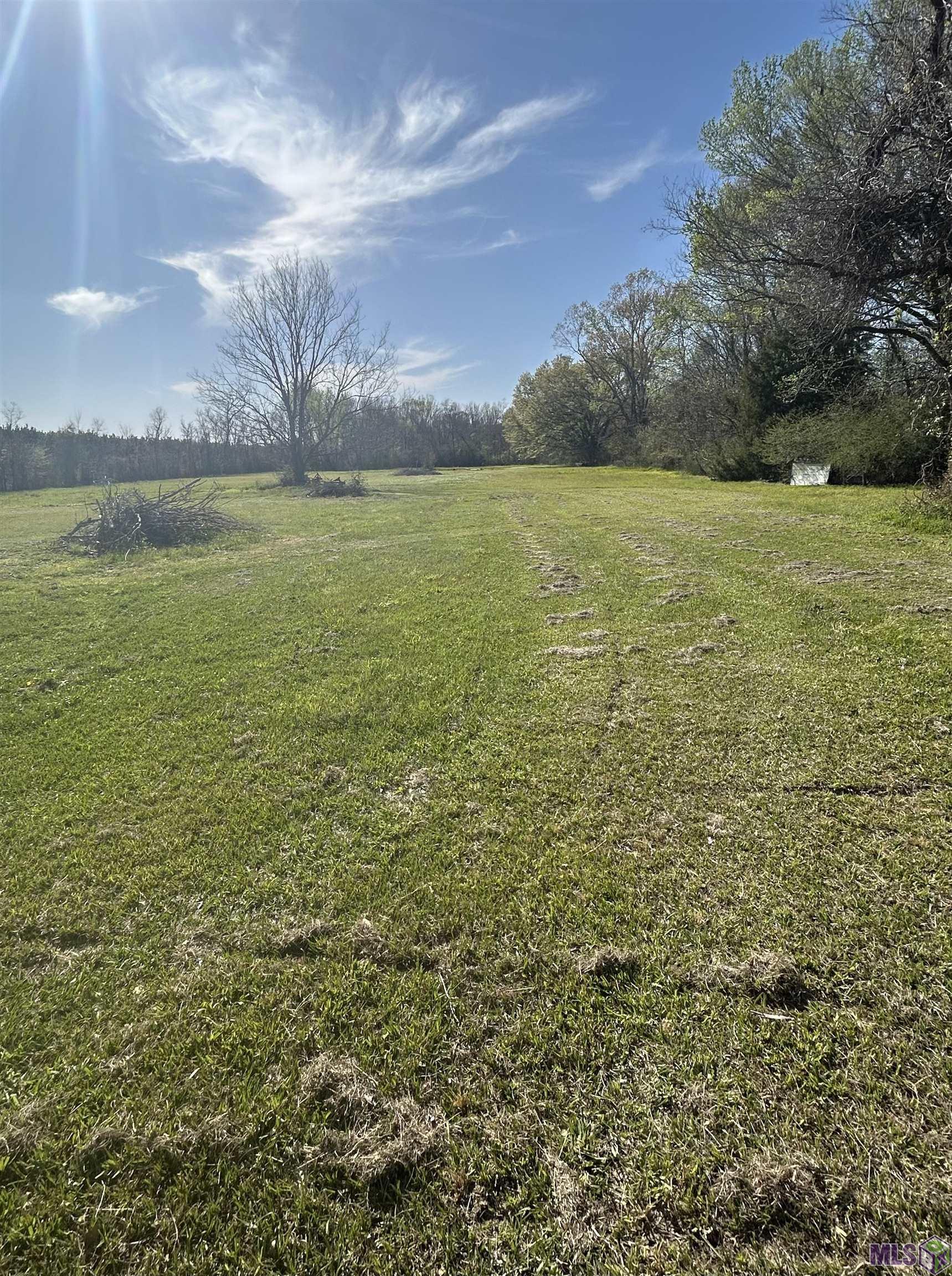 21321 Samuels Road Zachary, LA 70791 - Photo 47 of 48 Acreage view