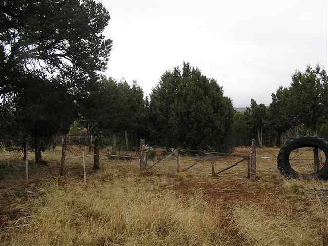 2113 Urias Road Clay Springs, AZ 85923 - Photo 2 of 5