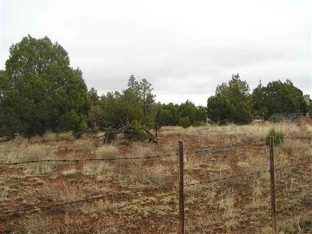 2113 Urias Road Clay Springs, AZ 85923 - Photo 5 of 5
