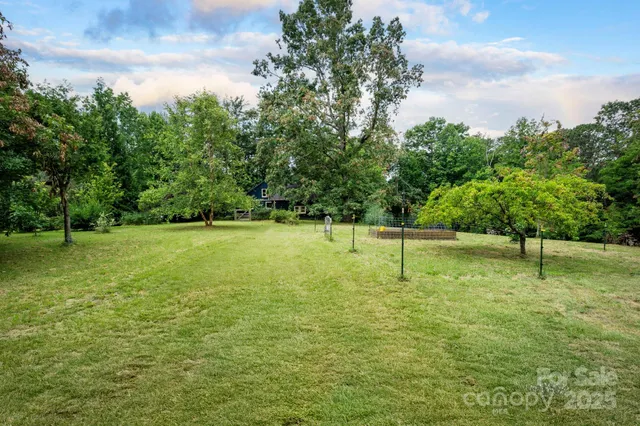 a view of a ground with a trees