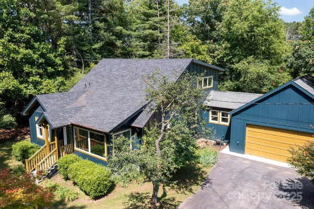 a view of a bunch of trees and bushes