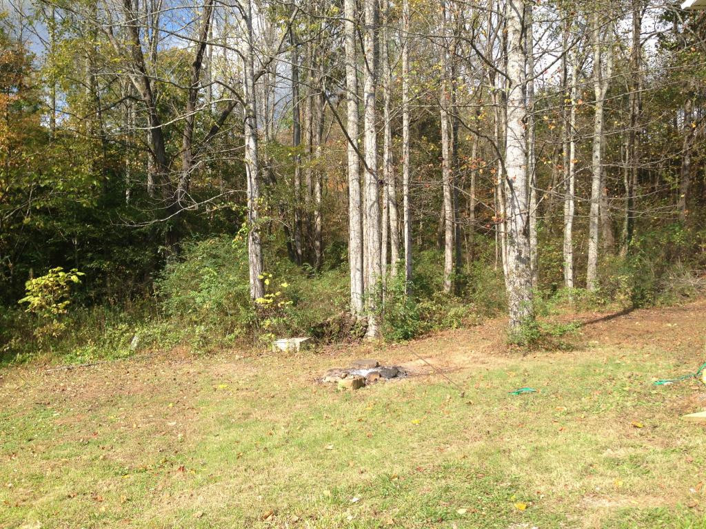 111 George Williams Road Elizabethton, TN 37643 - Photo 16 of 18 Photo 16