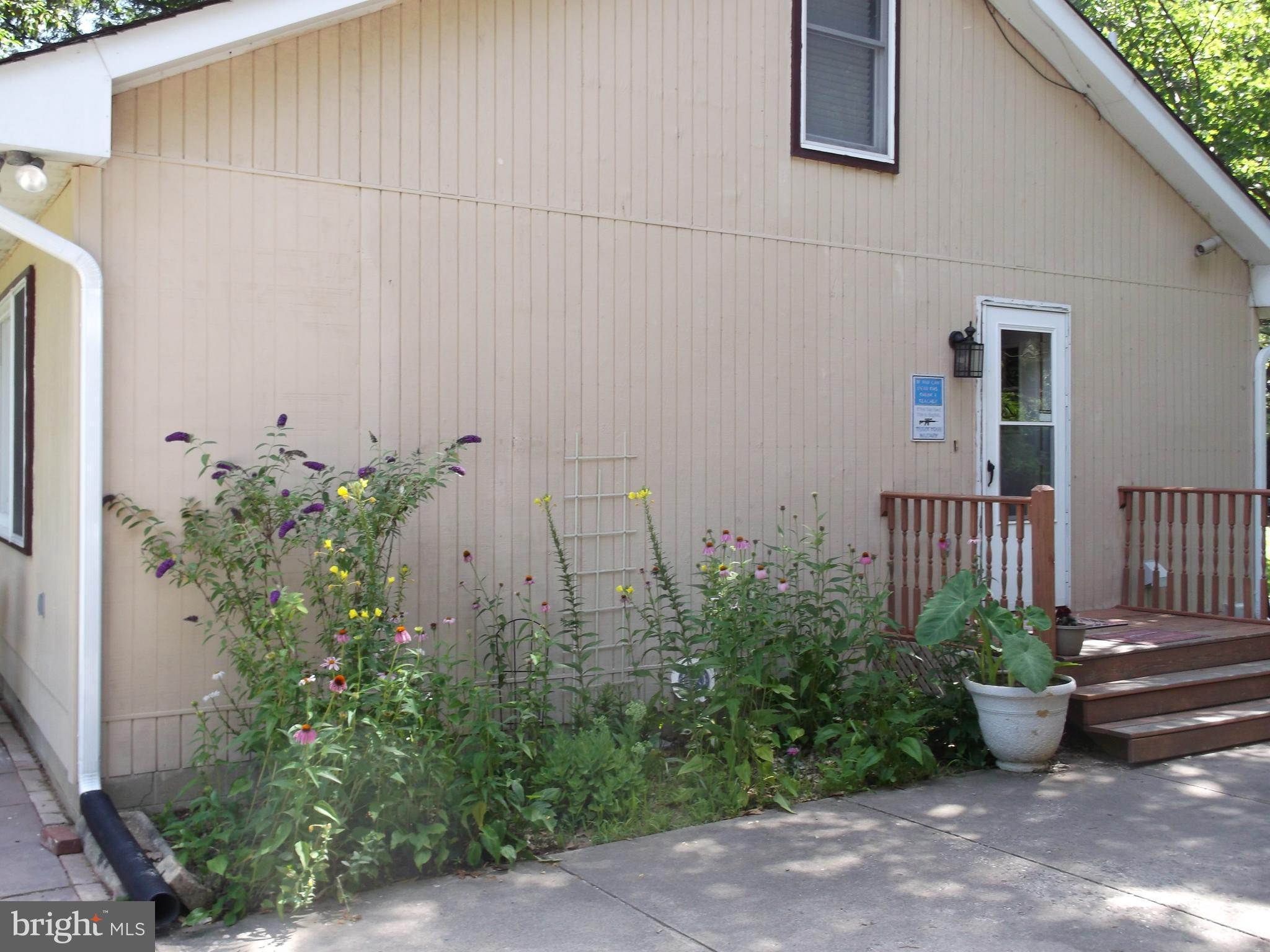 Side entrance from drivewy