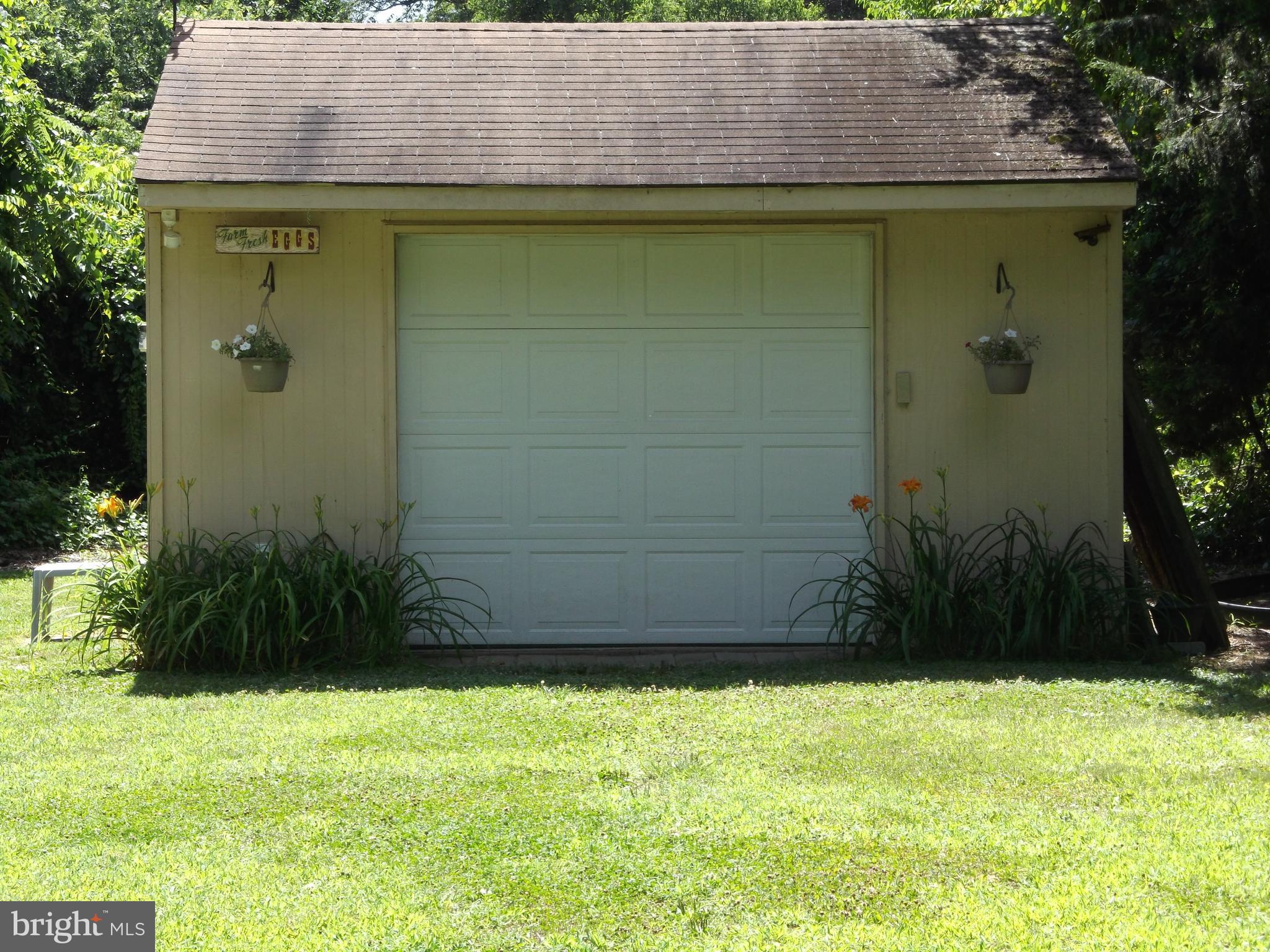 Shed with electric and power door opener