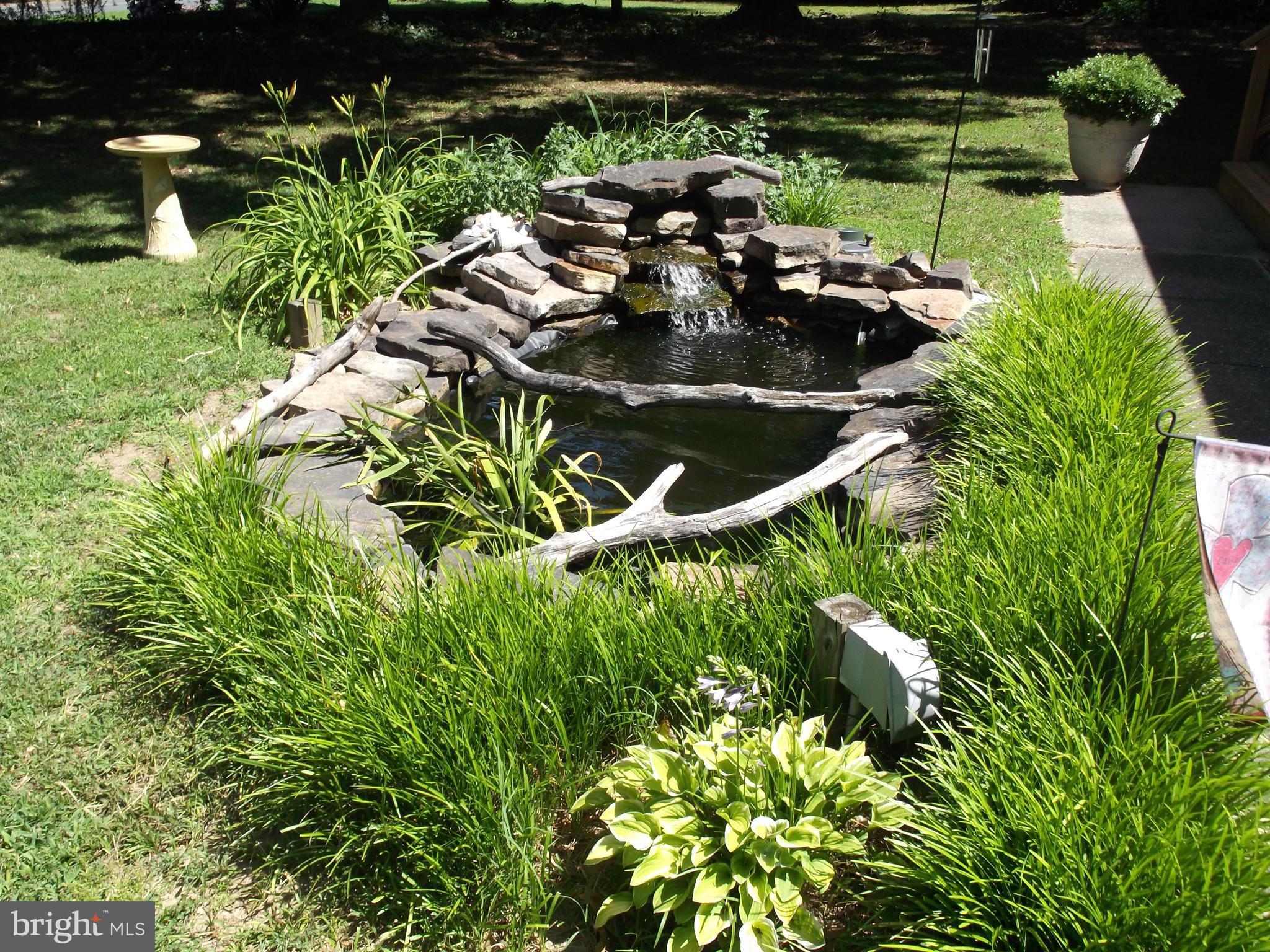 Fish pond in front of deck