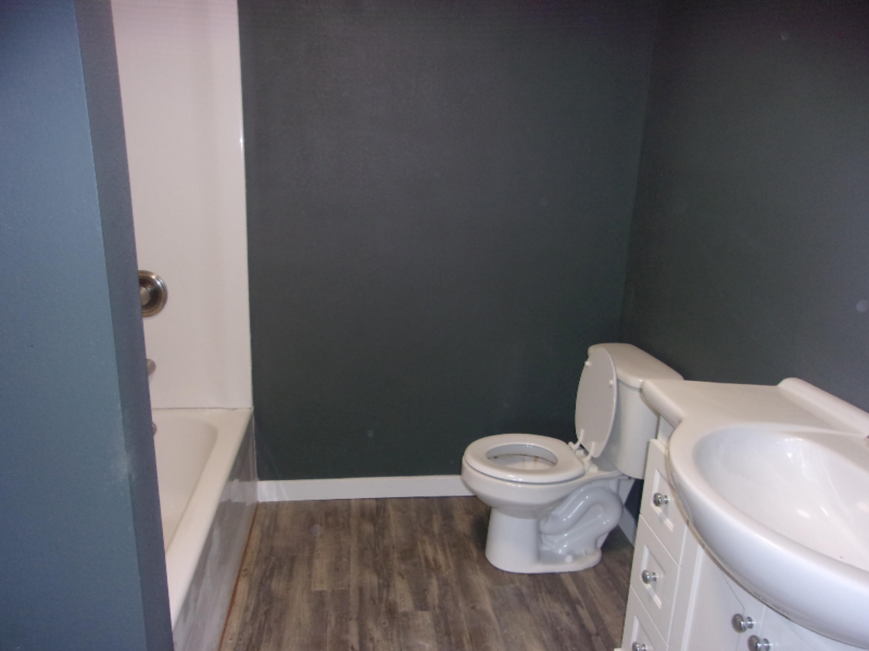 213 North Phelps Street Decatur, MI 49045 - Photo 11 of 29 112_3371
