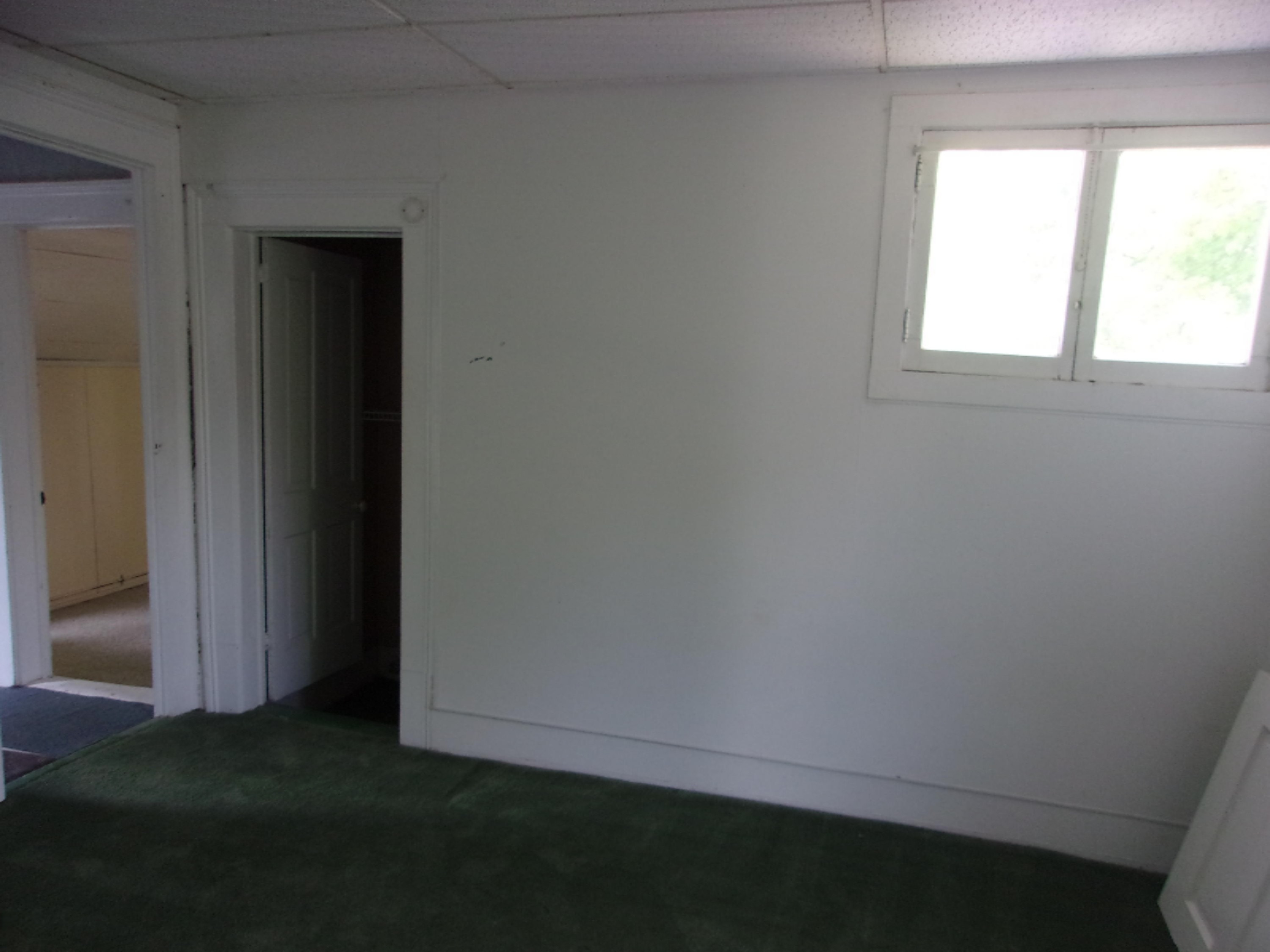 213 North Phelps Street Decatur, MI 49045 - Photo 19 of 29 112_3376