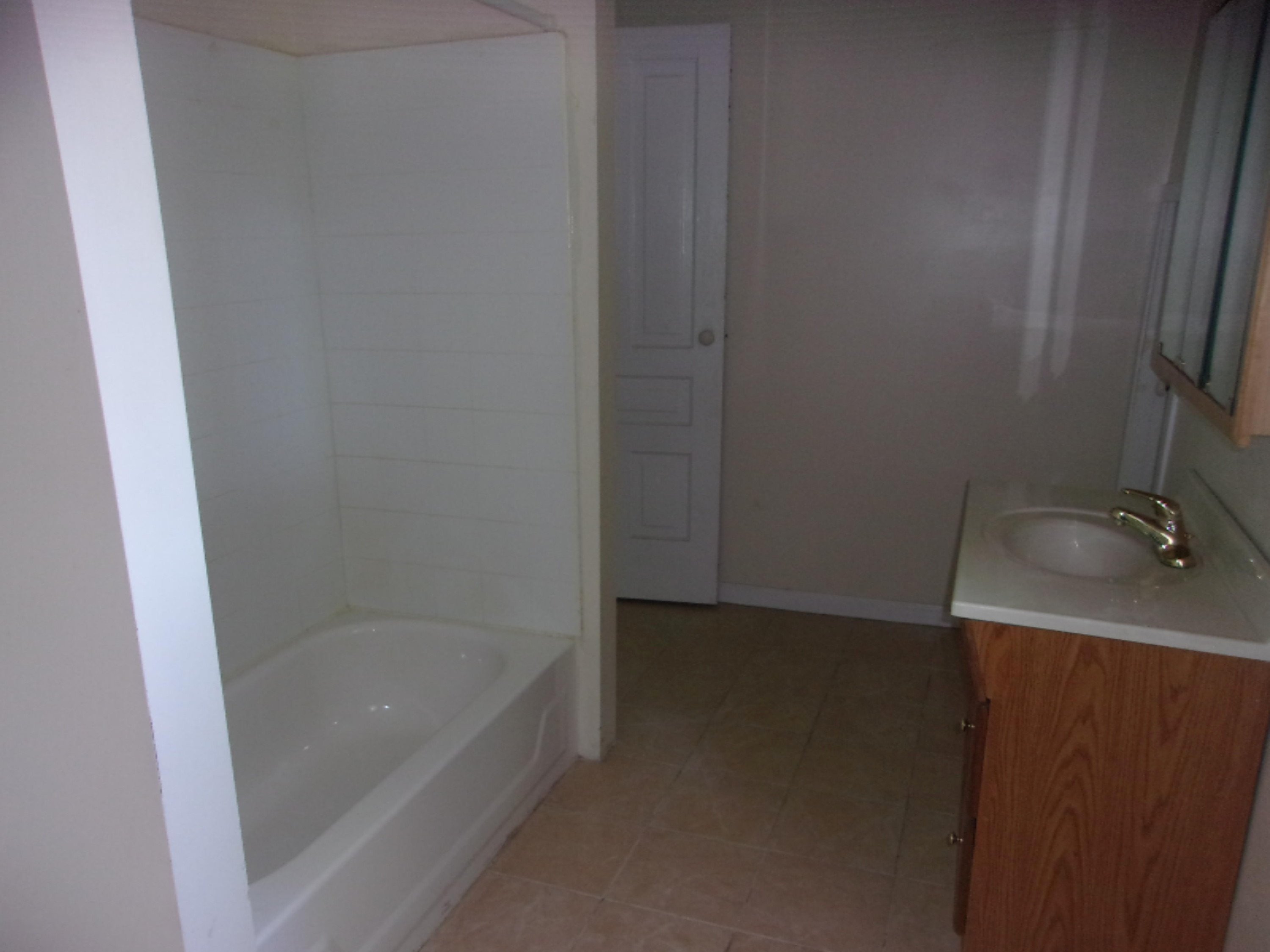 213 North Phelps Street Decatur, MI 49045 - Photo 21 of 29 112_3377