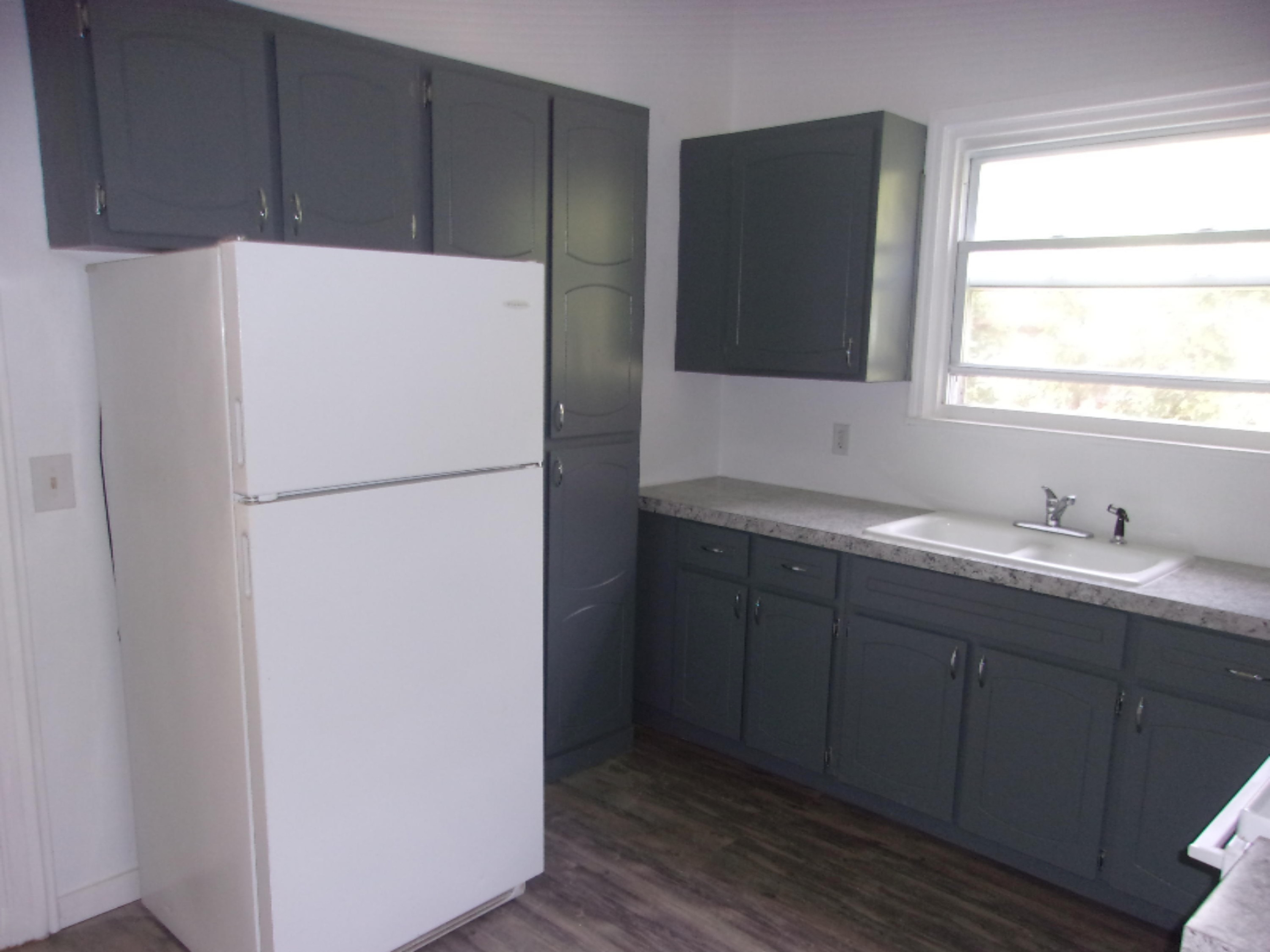213 North Phelps Street Decatur, MI 49045 - Photo 7 of 29 112_3367