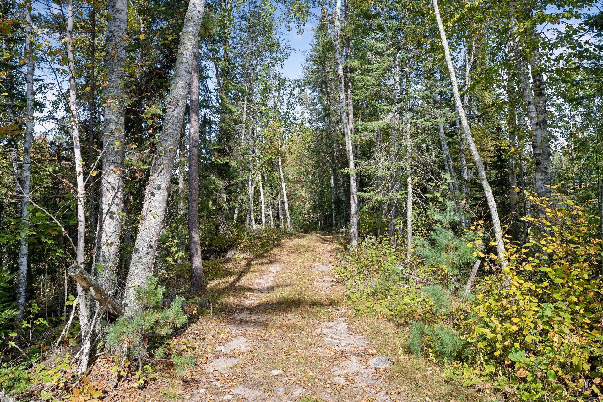 46771 Smith Lake Road Marcell, MN 56657 - Photo 46 of 50