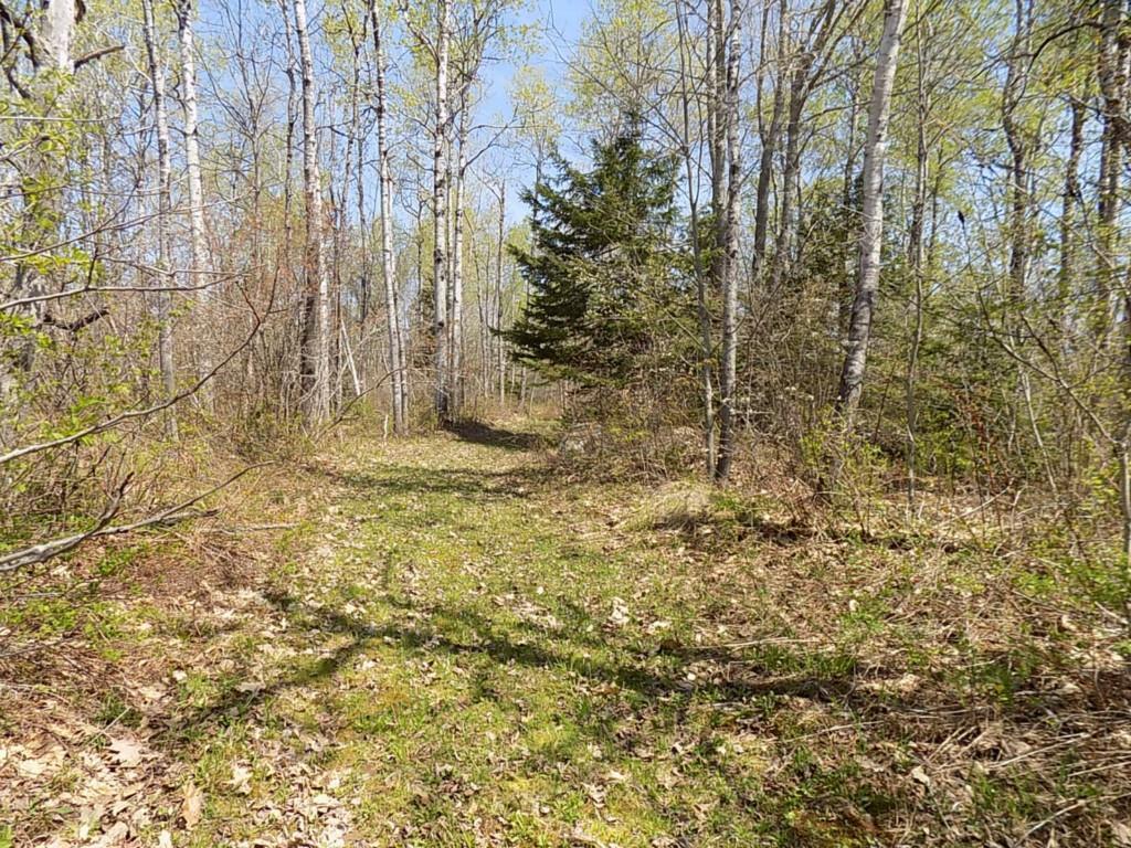 35 Hog Bay Road Franklin, ME 04634 - Photo 24 of 33 Well groomed path just a short walk...