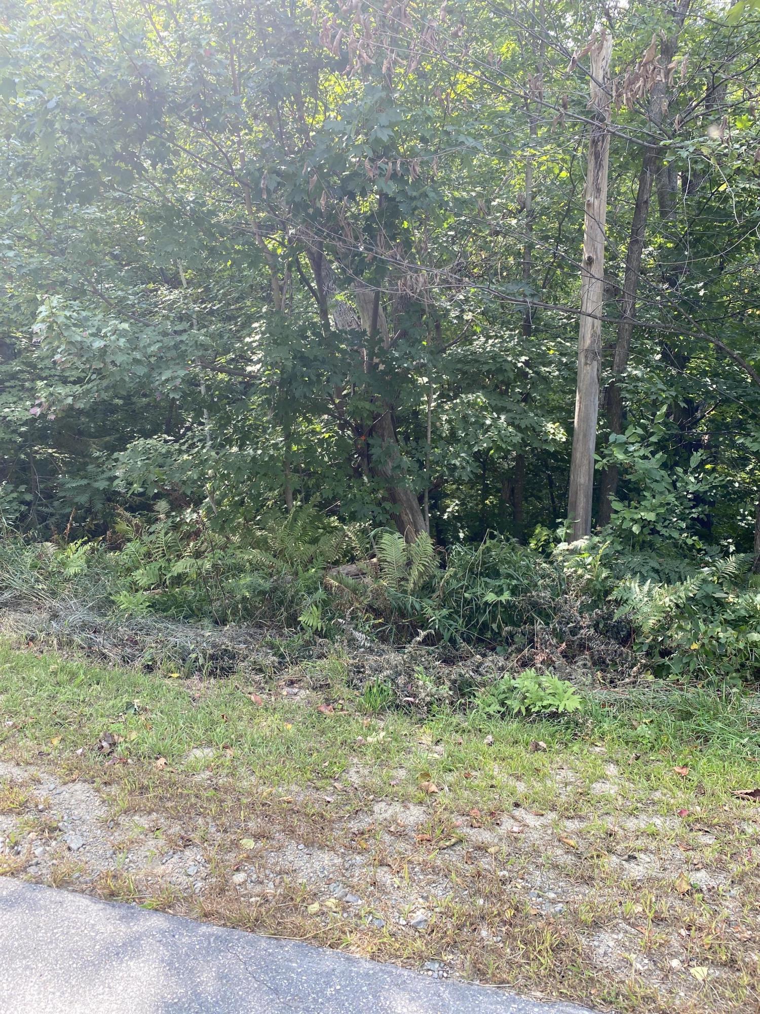 6-082 Lomie Rivers Road Jay, ME 04239 - Photo 19 of 43 Photo Sep 16, 12 25 50 PM