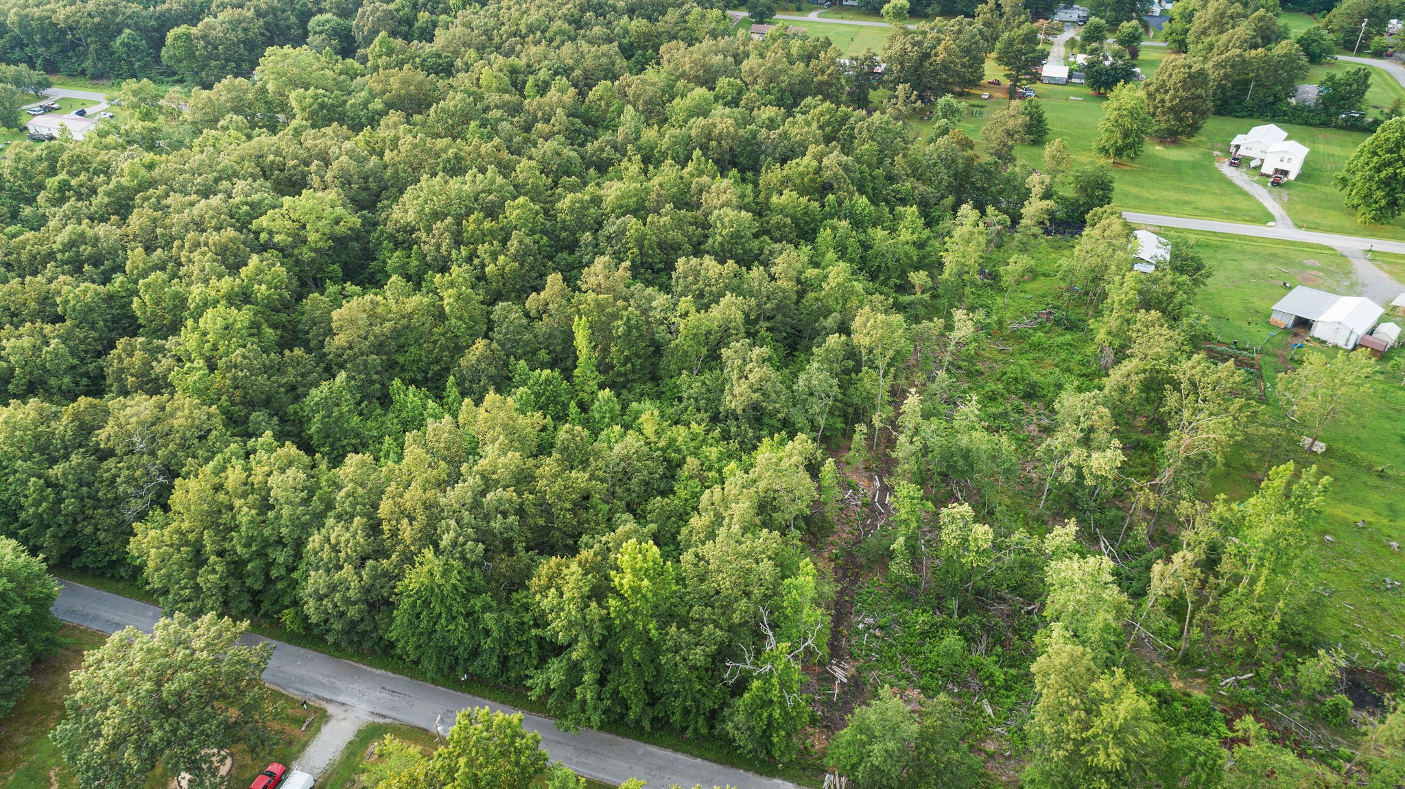 B Alice Boynton Road Manchester, TN 37355 - Photo 11 of 11 a view of a yard with plants and tree