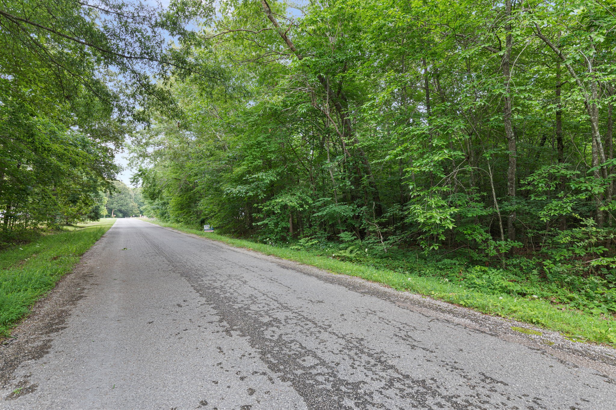 B Alice Boynton Road Manchester, TN 37355 - Photo 4 of 11 a view of a rural road with plants and trees