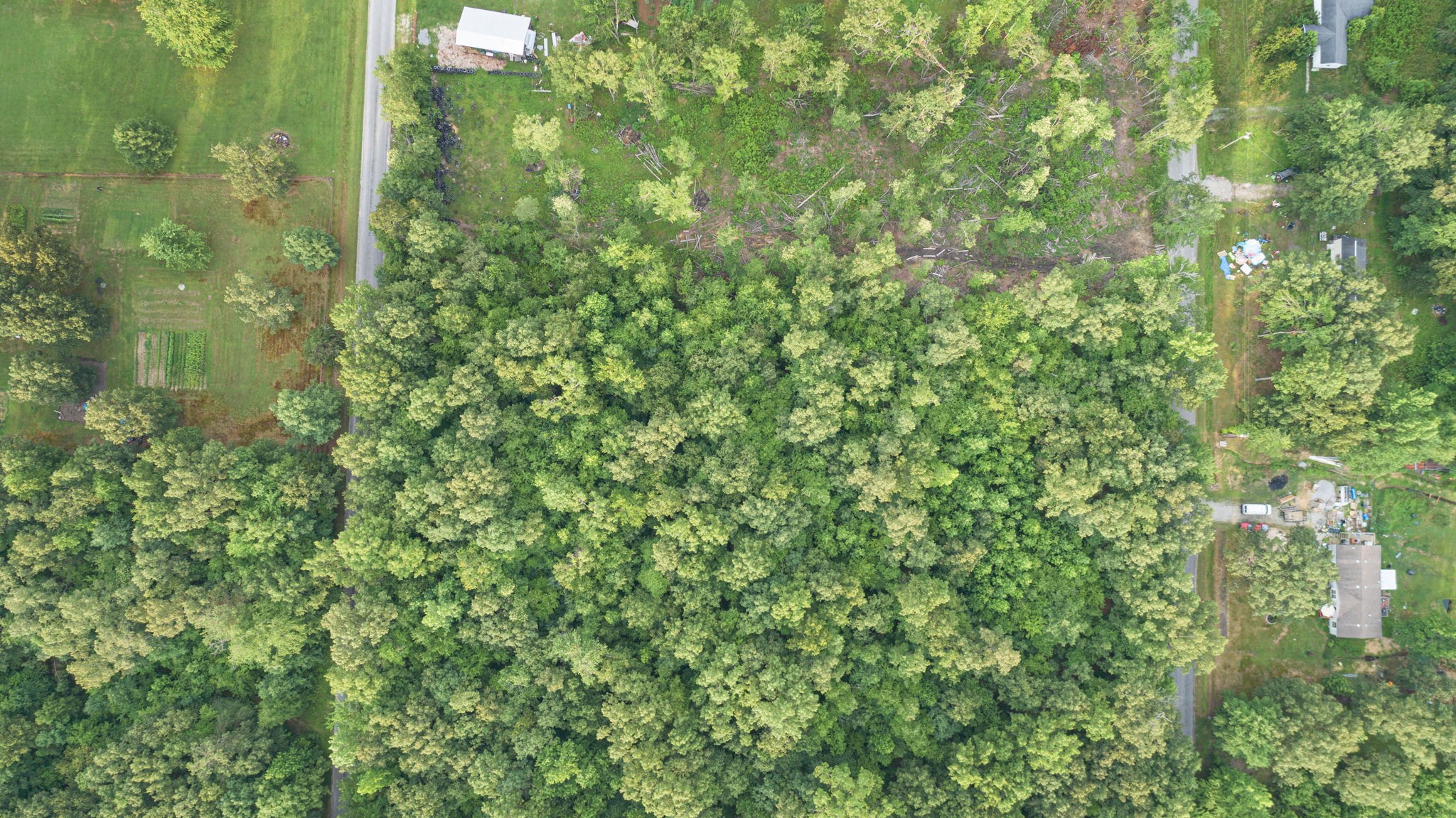 B Alice Boynton Road Manchester, TN 37355 - Photo 5 of 11 a view of a yard