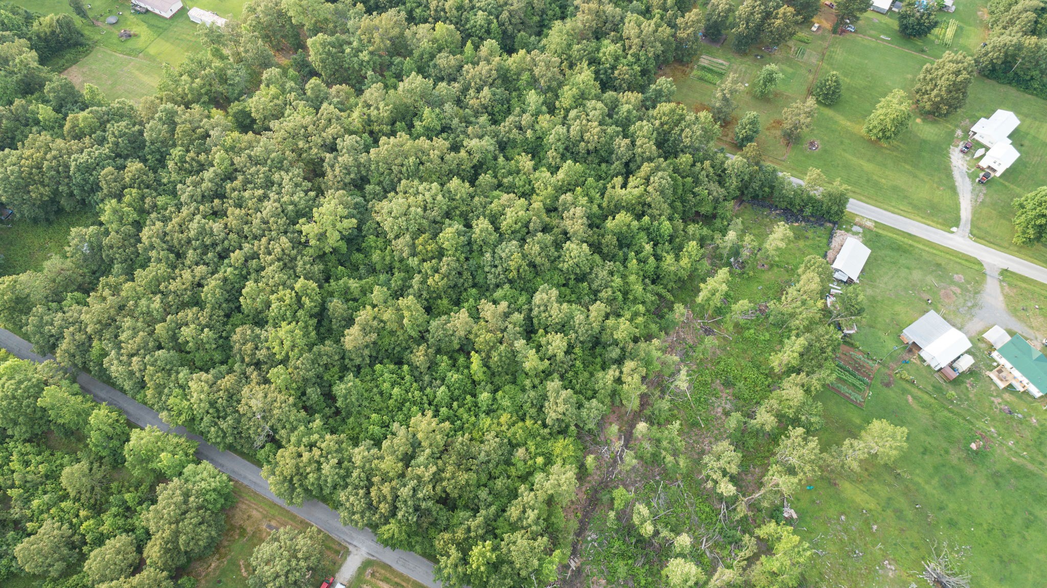 B Alice Boynton Road Manchester, TN 37355 - Photo 8 of 11 a view of a yard with a tree