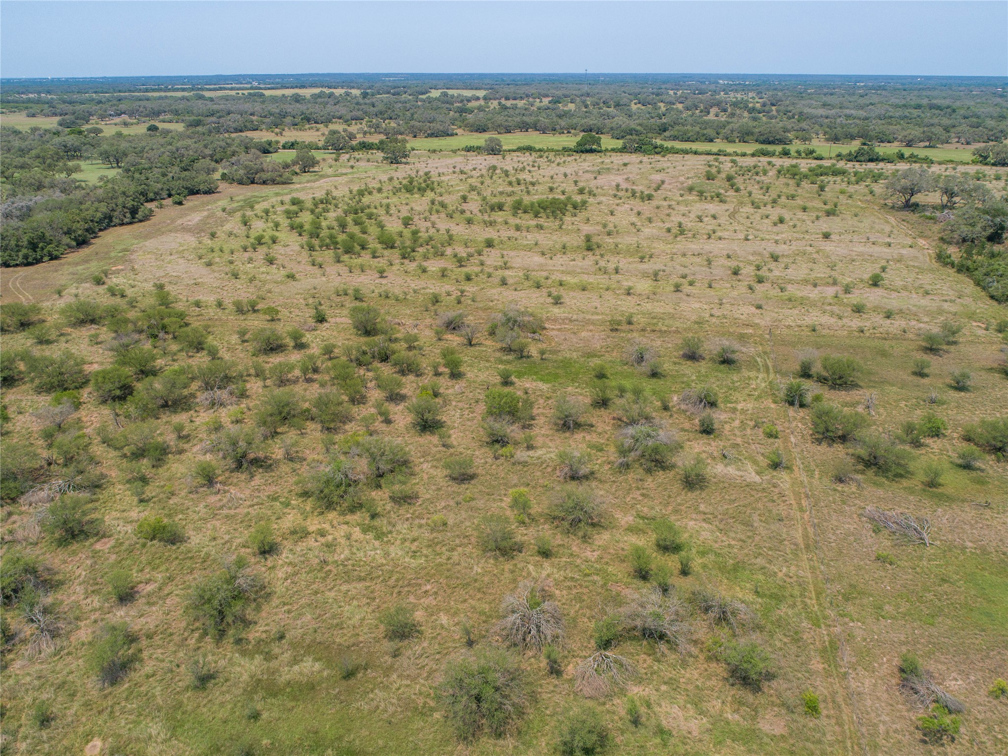 0 Green Dewitt Road Cuero, TX 77954 - Photo 6 of 40