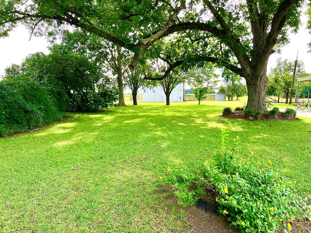 1601 Center Church Road Headland, AL 36345 - Photo 51 of 66 Gallery Image 51