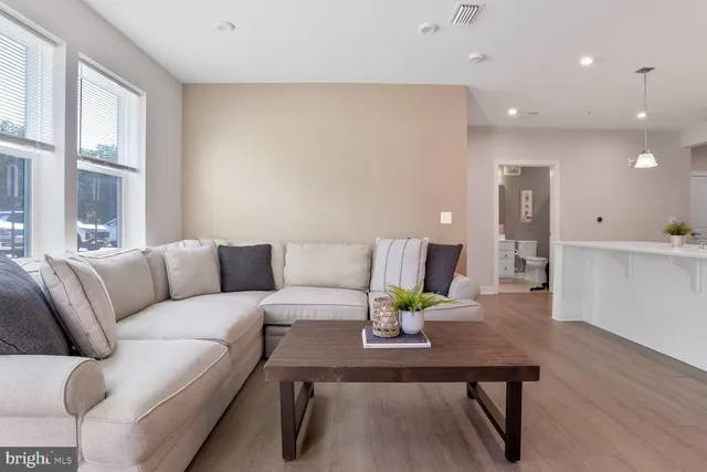 a living room with a couch and a potted plant