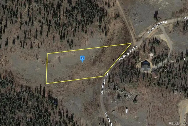 a view of a dry in a forest