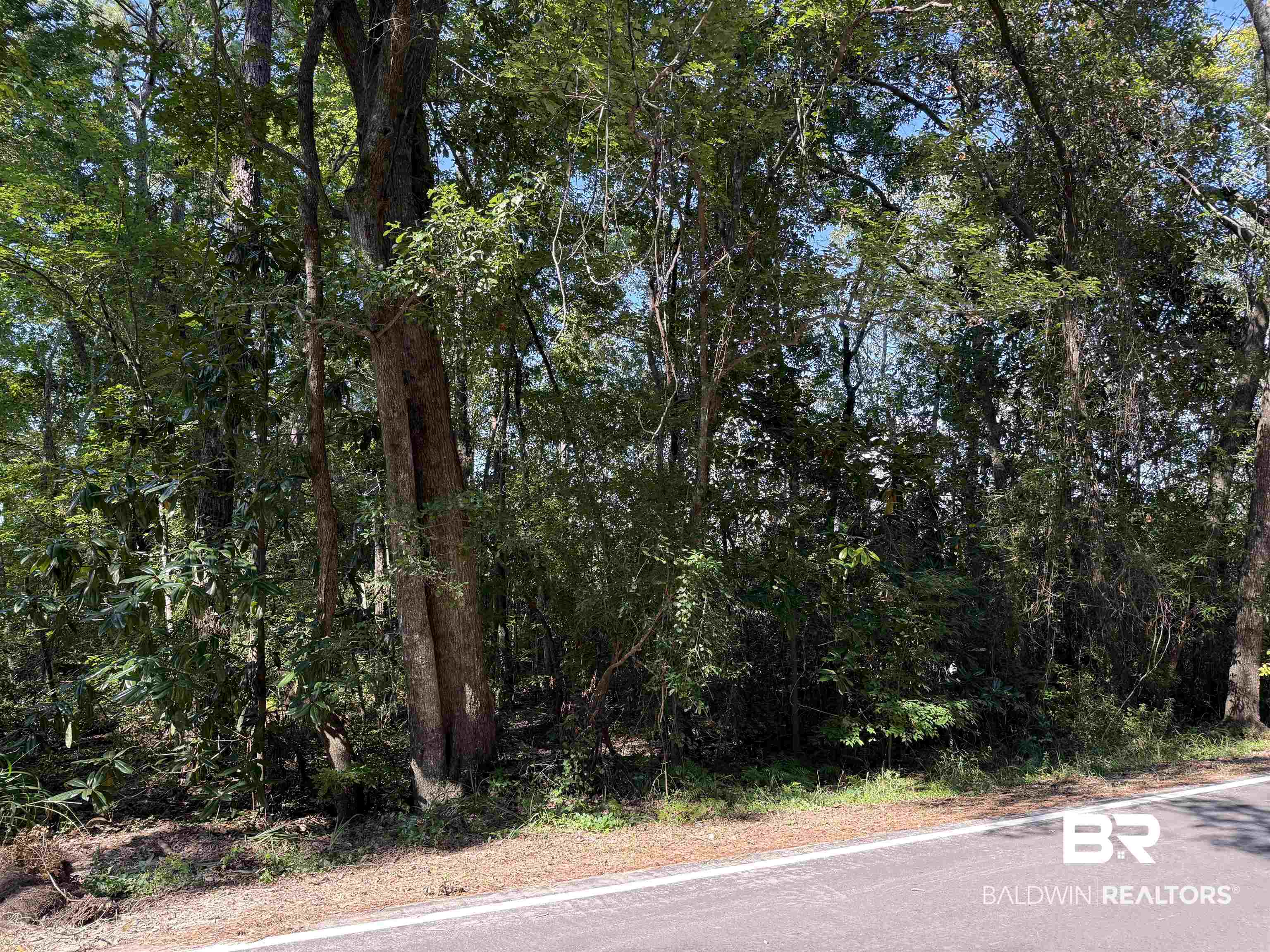 0 Higgins Road Mobile, AL 36619 - Photo 2 of 2 View of asphalt street